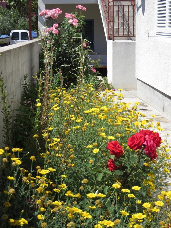 Apartment Cvita بيوغْغاد نا موغو الغرفة الصورة