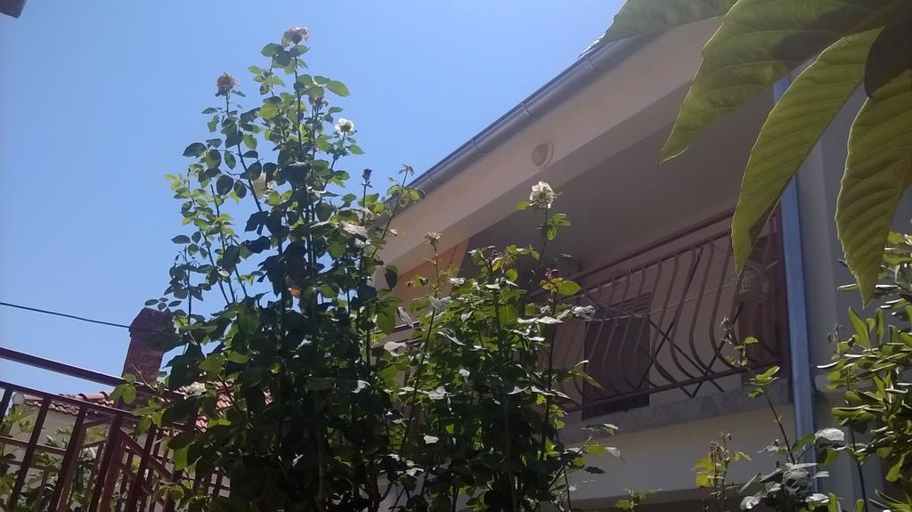 Apartment Cvita بيوغْغاد نا موغو الغرفة الصورة