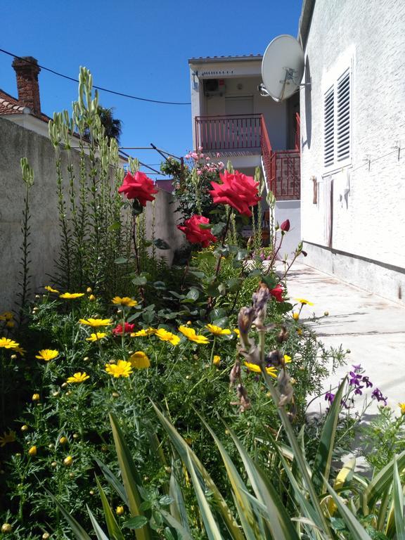 Apartment Cvita بيوغْغاد نا موغو المظهر الخارجي الصورة